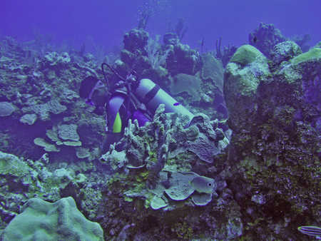 P4020159.jpg